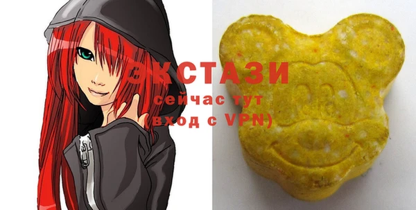 гашик Козловка
