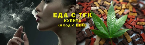 гашик Козловка