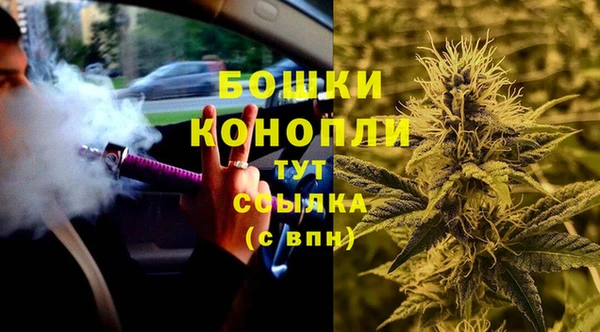 гашик Козловка
