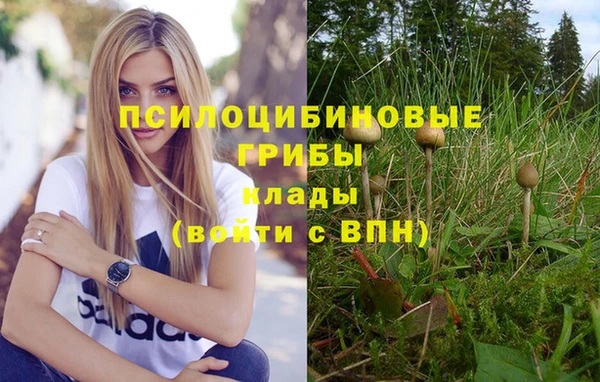 гашик Козловка
