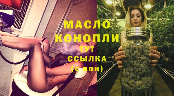 гашик Козловка