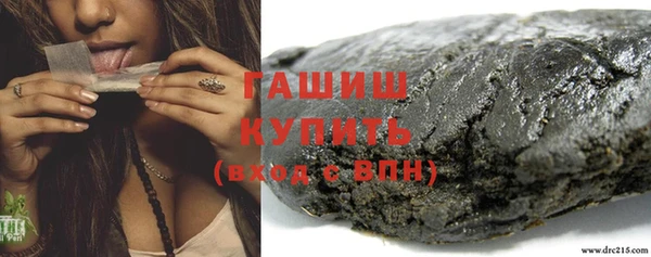 гашик Козловка