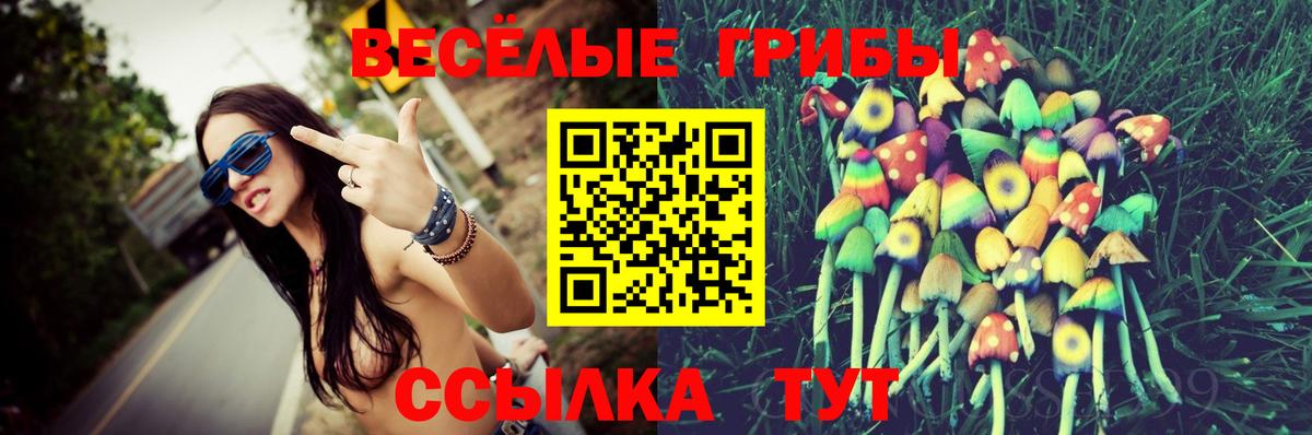 Псилоцибиновые грибы Psilocybine cubensis  Галлюциногенные грибы GOLDEN TEACHER  Кореновск 